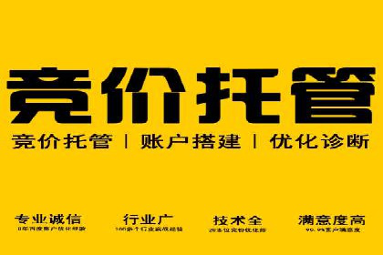 百度推广费用ROI提升策略与案例